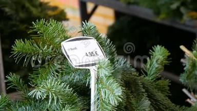 在德国纽伦堡，欧洲的圣诞树销售价格标签。 出售枞树枝以供圣诞节上市